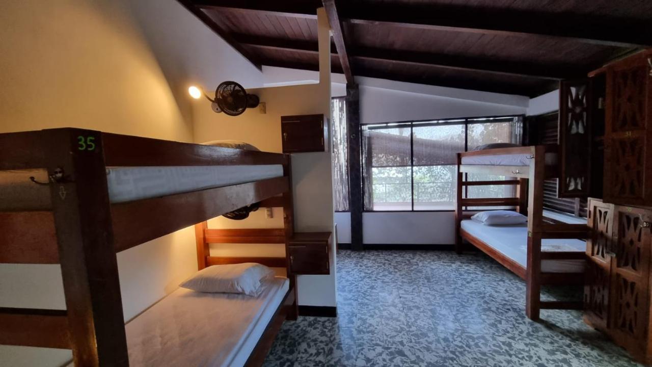 Paradiso Hostel Ла-Лагуна Экстерьер фото